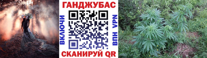 Шишки марихуана SATIVA & INDICA  Разумное 